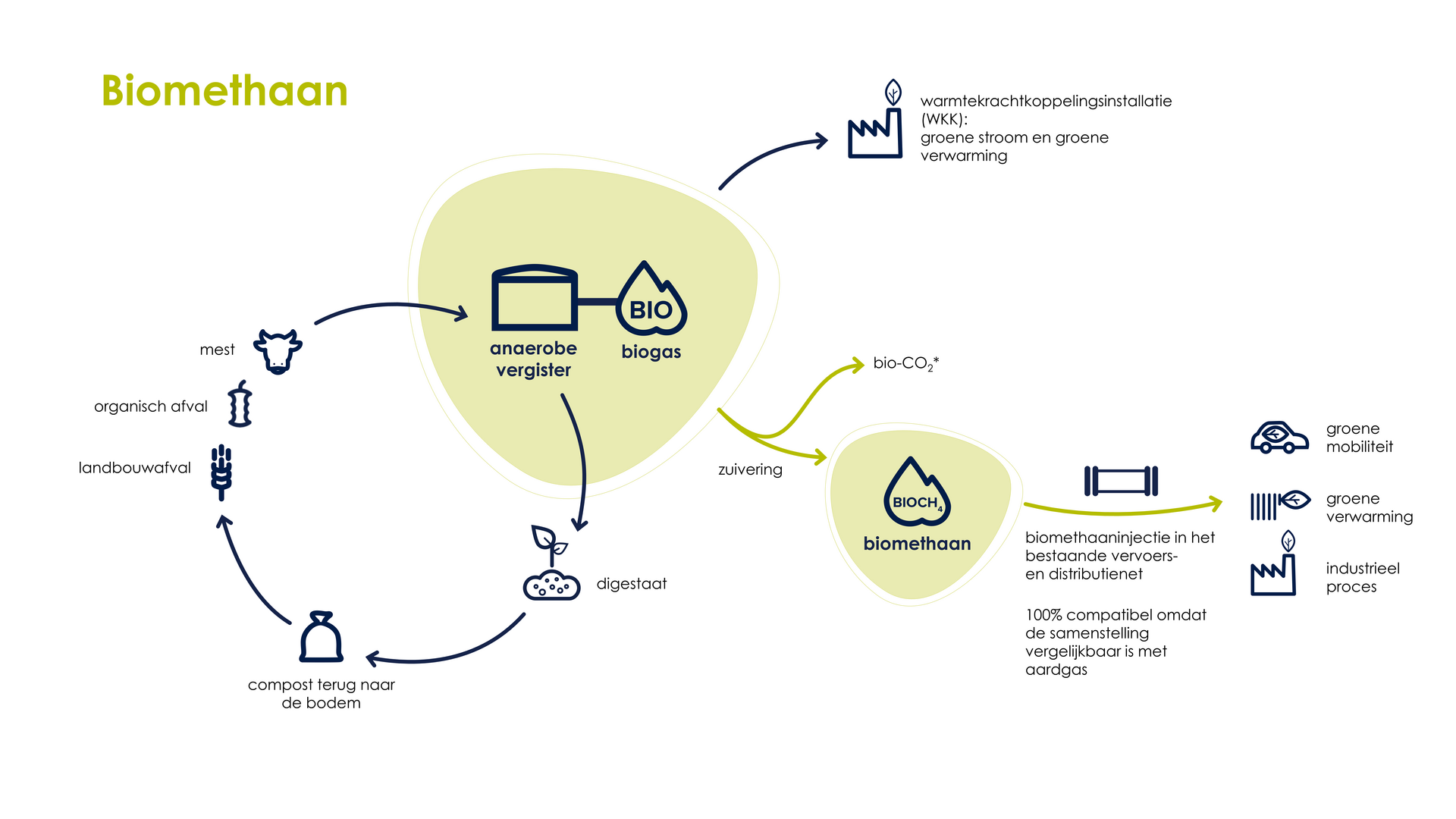 Het productieproces voor biomethaan.